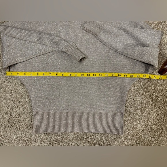 NWT Philosophy Republic Clothing Taupe & Silver Metallic Crewneck Size XS $68 - Picture 9 of 9